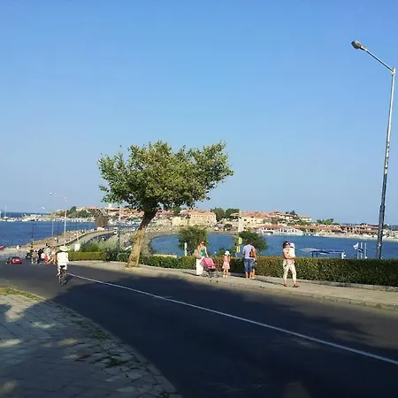 Complex Sunny Dreams